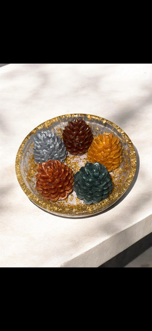 Bowl with pine cones